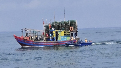 乂安省加强管控并严厉处理IUU违规行为