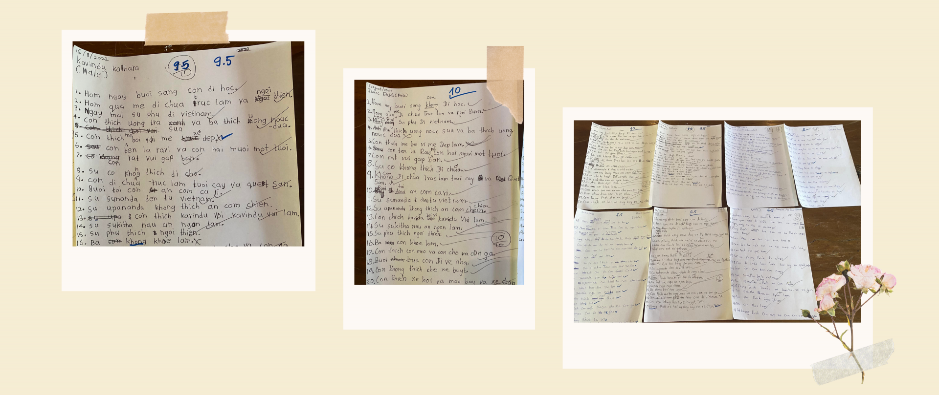 在斯里兰卡播种越南语善缘的旅程