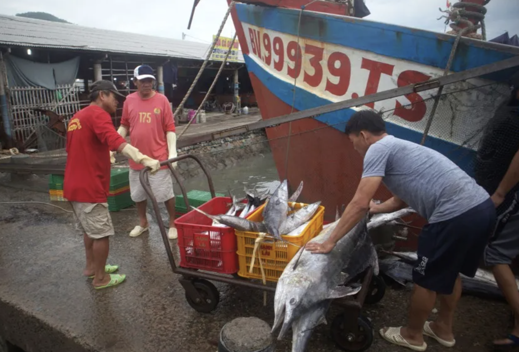 胡志明市推广“与渔民共饮早咖啡”模式,宣传IUU规定 胡志明市推广“与渔民共饮早咖啡”模式,宣传IUU规定