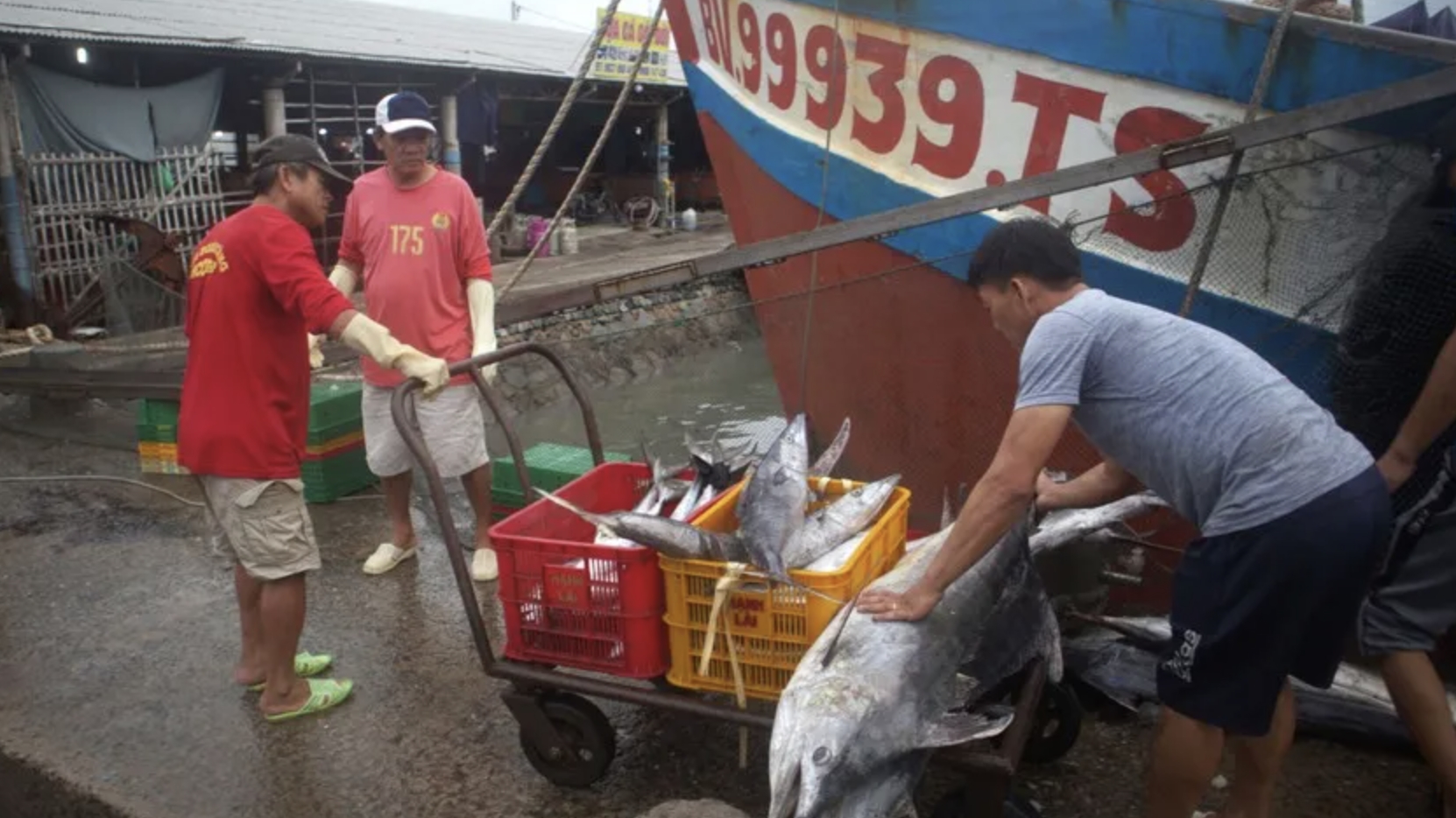 胡志明市推广“与渔民共饮早咖啡”模式，宣传IUU规定