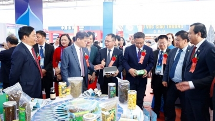 第17届越中商贸旅游博览会即将启幕 搭建边境合作与友谊之桥