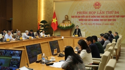 加速推进打击IUU捕捞：在12月15日前完成各项任务