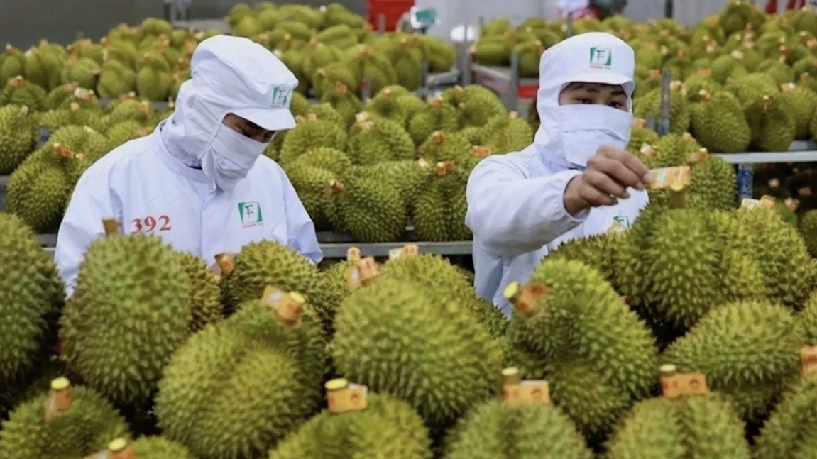 推动越中农产品合作