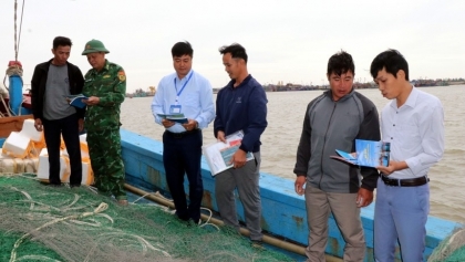 宁平省全力打击IUU捕捞，为迎接欧盟委员会第五次检查做好准备