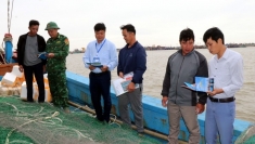 宁平省全力打击IUU捕捞，为迎接欧盟委员会第五次检查做好准备