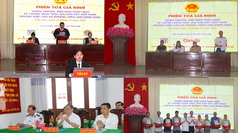 芹苴市加强系统化宣传，旨在彻底消除IUU捕捞