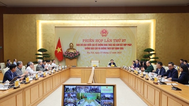 打击IUU捕捞：彻底查处违规行为，向欧盟委员会诚实报告