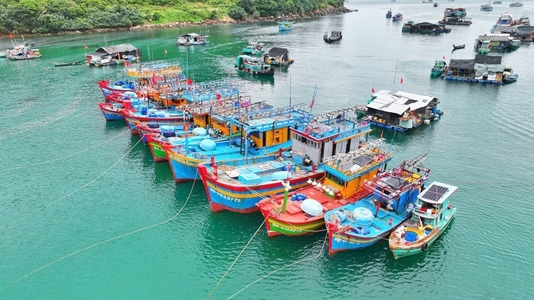 安江省规范化渔业管理，满足欧盟委员会（EC）的打击IUU要求。渔船管理工作与各级地方的具体责任挂钩，确保不让不合格渔船出海。