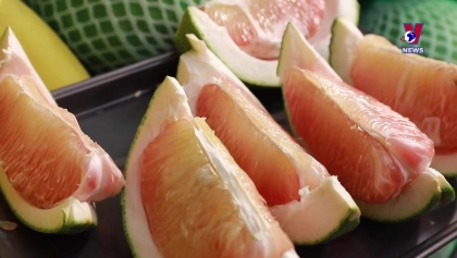 槟椥省首批两吨青皮柚已出口到美国