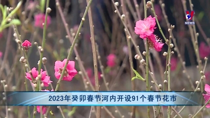 2023年癸卯春节河内开设91个春节花市